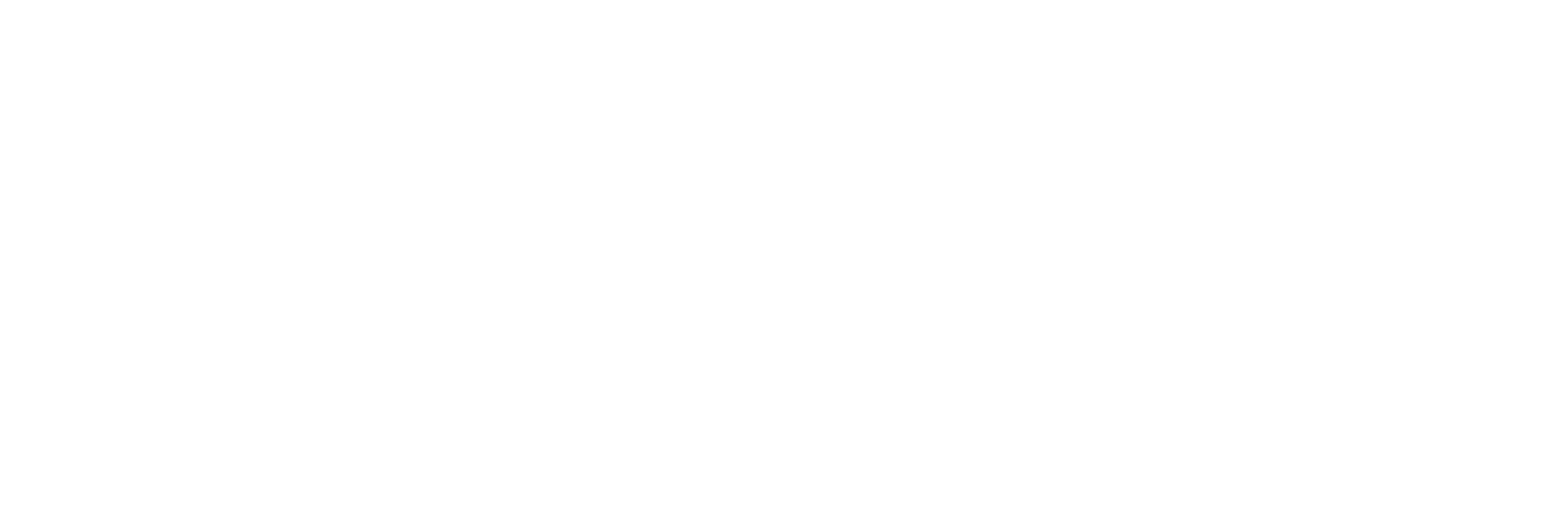 Şampiyon Oto Tuning