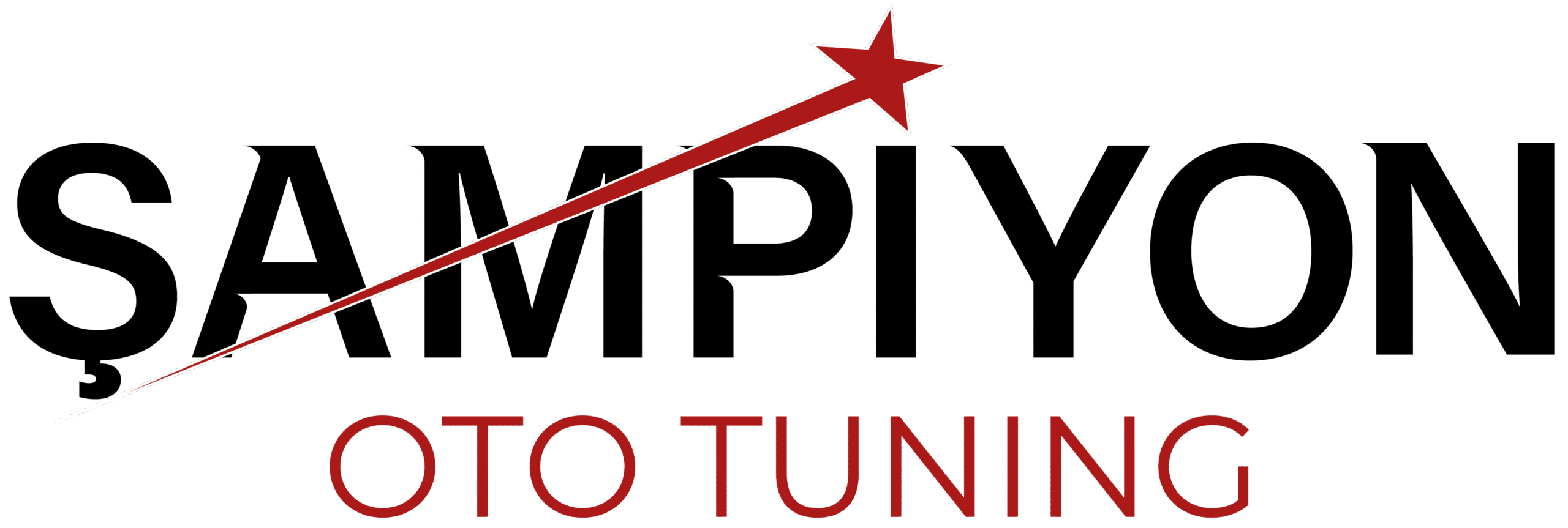 Şampiyon Oto Tuning